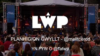 Mellt - Planhigion Gwyllt (Yn Fyw / Live) | Tafwyl 2022