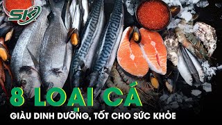 8 Loại Cá Giàu Dinh Dưỡng Tốt Cho Sức Khỏe | SKĐS