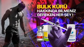 Bulk Kürü Hakkında Bilmeniz Gereken Her Şey !