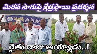 గోనెగండ్లలో మిరప సాగుపై క్షేత్రస్థాయి ప్రదర్శన..