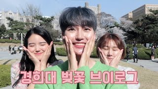 ENG) VLOG 경희대학교 벚꽃 브이로그ㅣ경희랜드에서 친구들과 함께!🌸ㅣ남자일상유튜버 코가이 COGUY