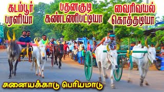 பெரியமாடு சுனையக்காடு புதுக்கோட்டை மா 07.08.2022 periyamadu sunyakkadu ksk rekla race