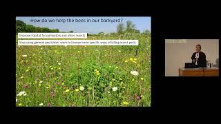 Bees and biodiversity: finding hope in the Anthropocene (Prof. Geraldine Wright)