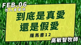 20210206牧人青草地│到底是真愛，還是假愛