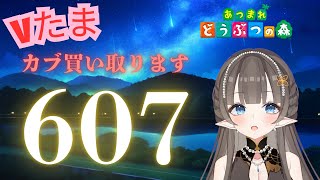 【#あつまれどうぶつの森】1カブ『607ベル』で売る配信　#あつ森　#カブ　#Vたまch