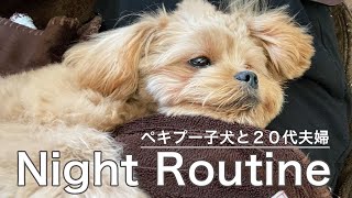 【ナイトルーティン】ペキプー子犬と20代夫婦の夜