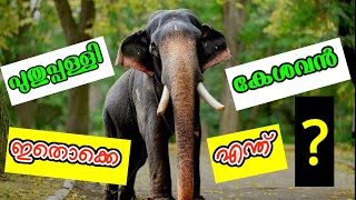 Puthupally Keshavan Latest Video| പുതുപ്പള്ളി കേശവൻ /#puthupally kesavan /#keralaelephant/2022