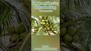 நெகமம் சாலையில் 1 ஏக்கர் தென்னைதோப்பு கிணத்துக்கடவில் விலை 1.99L/cent. அனைத்து வசதிகளும்