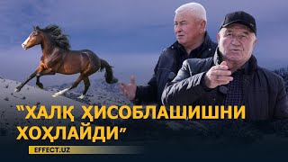 ҲУКУМАТ ҚАРОРИ БЎСТОНЛИҚДАГИ ЧОРВАДОРЛАРНИ ЧОРАСИЗ ҚОЛДИРАДИМИ?! – EFFECT.UZ