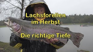 Lachsforellen im Herbst - Die richtige Tiefe