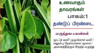 உணவாகும் தாவரங்கள்/பாகம்:1||தண்டுப் பிரண்டையும் அதன் மருத்துவ குணங்களும்|Iyarkai Ulagam||