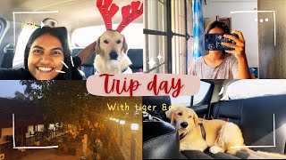 Trip polama 🤪 / samathu paiyan tiger 🥺vlogwithnive /