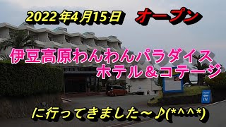 【2022年4月15日オープンした】伊豆高原わんわんパラダイスホテル＆コテージへ行って来ました！ラブラドールレトリバー