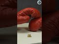 president reagan and muhammad ali’s boxing gloves