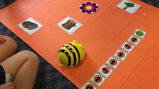 Learning to Code with Bee-Bots