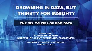 The Six Causes of Bad Data - Drowning in Data, but Thirsty for Insight?