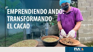 #EMPRENDIENDOANDO | Productores de cacao buscan romper una tendencia ancestral