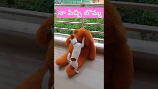 నా పిచ్చి బొమ్మ #dog #jackrussell #rocky #funny #talking #video #shorts #ytshorts #comedy #cutedog