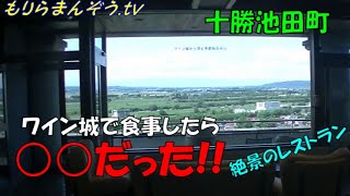 【ひとり旅】池田町『ワイン城でご飯食べたら〇〇だった!!』　【北海道】【観光】【旅行】