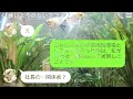 【line】親会社から教育係で来た私を派遣社員と勘違いして朝礼でビンタしたdqn社員「ミスは全部お前のせいw」→私に罪を被せたクズ社員に私の正体を教えた時の反応がwww