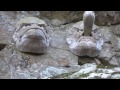 金刀比羅宮 奥宮厳魂神社 天狗･烏天狗様