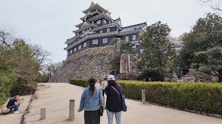 岡山城と桜を見る散歩【4K岡山街歩き】Japan 4K Okayama walkingtour/Okayama Castle and cherry blossoms