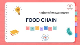 คอร์สสรุปเนื้อหา เรื่องFOOD CHAIN