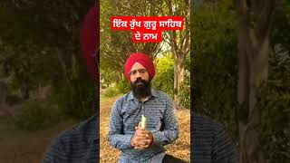 ਇੱਕ ਰੁੱਖ ਗੁਰੂ ਸਾਹਿਬ ਦੇ ਨਾਮ #guruarjundevji#tree#trees#shortsfeed #shortsviral #akaltakhatsahib#fact