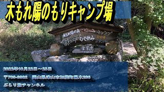 【岡山キャンプ場】木もれ陽のもりキャンプ場20221022