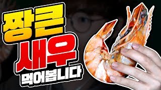 *짱 큰 새우* 먹어봅니다ㅋㅋㅋ ㄹㅇ머리만함ㅋㅋㅋ