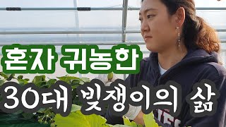 혼자 귀농한 30대 빚쟁이의 삶- 쨍이 ep7