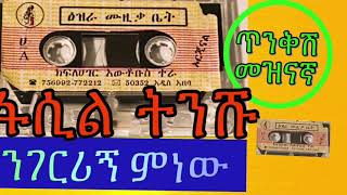 ፋሲል ሽመልስ (ንገሪኝ ምነው)