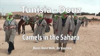 A camel ride at Douz, Tunisia, in the Sahara desert