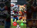 transformation when cat cute calls at 19.00 pm cat catlover cute shorts funny kitty kitten