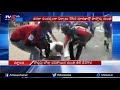 minister gt deve gowda falls while running dussehra marathon mysore tv5 news