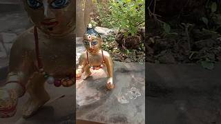 joy shree krishna ##ytshort #laddu gopal sonar snan #