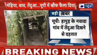 Hapur Breaking News: हापुड़ के नवादा गांव में तेंदुआ दिखने से दहशत | India News