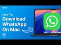 How To Download & Install WhatsApp On Mac | Easy Guide