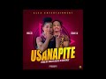 hilco ft dan lu usanapite official audio