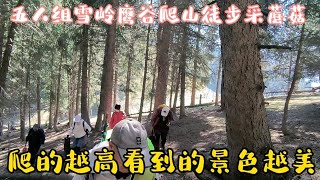 五人组自驾雪岭鹰谷，爬山徒步采蘑菇，随着海拔越高看到的景色越美