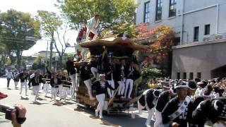 信太・幸地区　だんじり祭り　宮入　国際幼稚園前　富秋町　2011.10.09