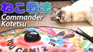 【ラストニャムライ】猫の知力と身体能力を極限まで高めるCommander Kotetsu  Electric toy for cats電動猫じゃらしキャッチミーイフユーキャン２kittens