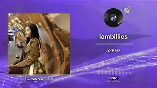 iambillies - 528Hz |[ French Pop ]| 2023
