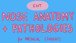 ENT - Nose Anatomy + Pathologies for Medical Students