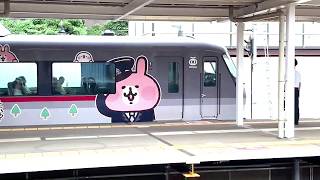 お茶の間鉄道 実写編！！カナヘイ小動物列車　川越旅号　西武鉄道　ニューレッドアロー10000系