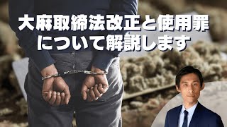 大麻取締法改正と使用罪について解説します