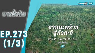 สารตั้งต้น EP 273 | “จากมะพร้าวสู่หัวกะทิ” (1/3) | 22 ก.ค. 65