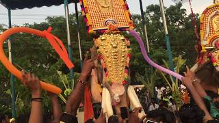 Kerala elephants | Thechikkottukavu Ramachandran  | Tallest elephant in India | festivals in Kerala