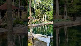 Gurubeula Natural Pool Sri Lanka #viral #travel #tourism