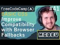 #41 Improve Compatibility with Browser Fallbacks | Basic CSS | Solution + Overview
